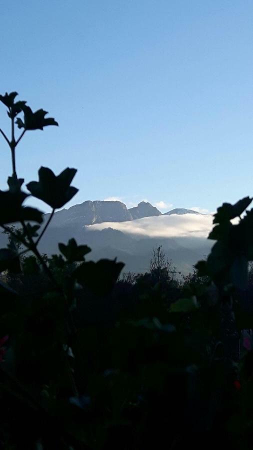 Willa U Slodkiego Zakopane Bagian luar foto
